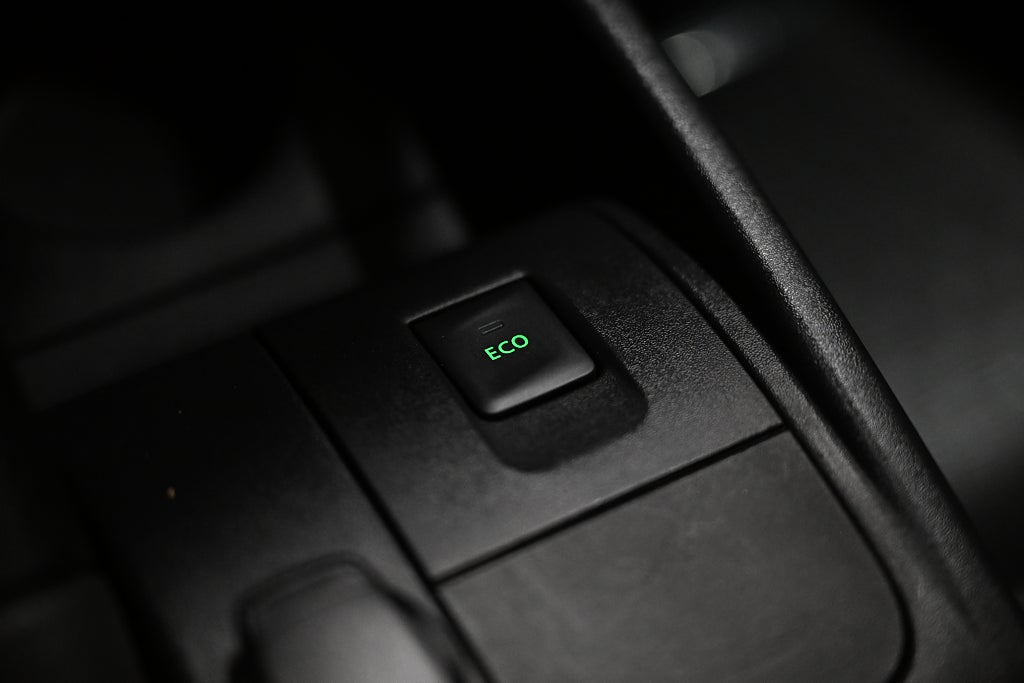 17ddc356 e530 e2a5 9573 000091944edc.jpg