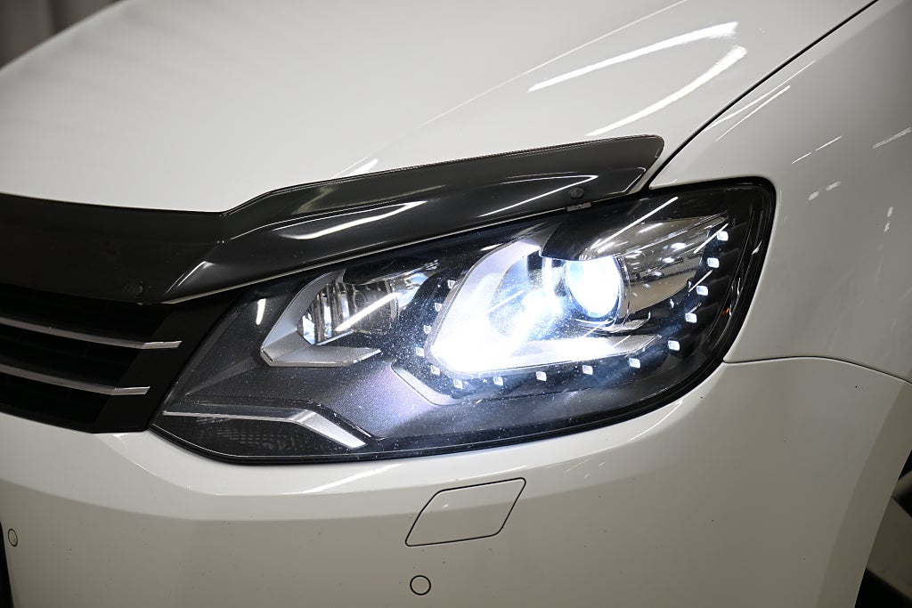 6f1b713e 41ce c563 93e4 0000f92d321a.jpg